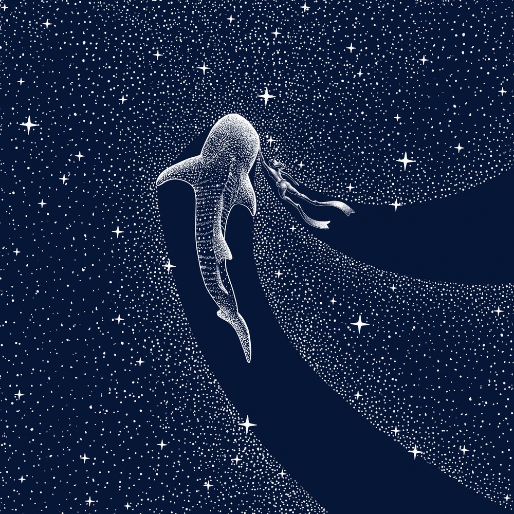 Viaggio nella galassia dello squalo balena da Alirıza ÇAKIR