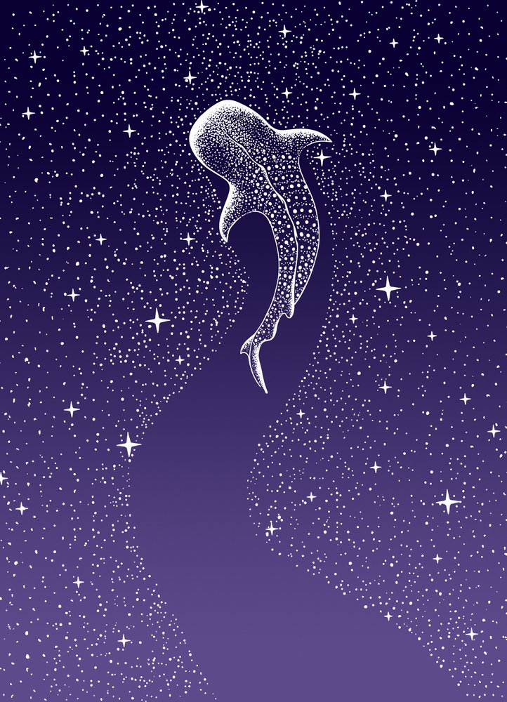 Nuotata nella Galassia degli squali balena da Alirıza ÇAKIR