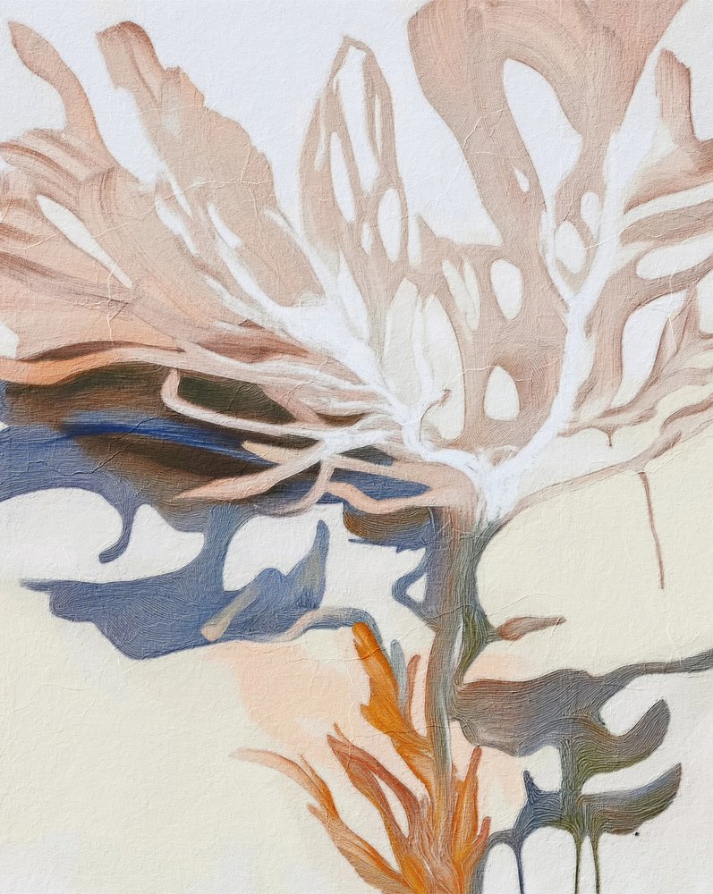 Forme fluide organiche da Alma