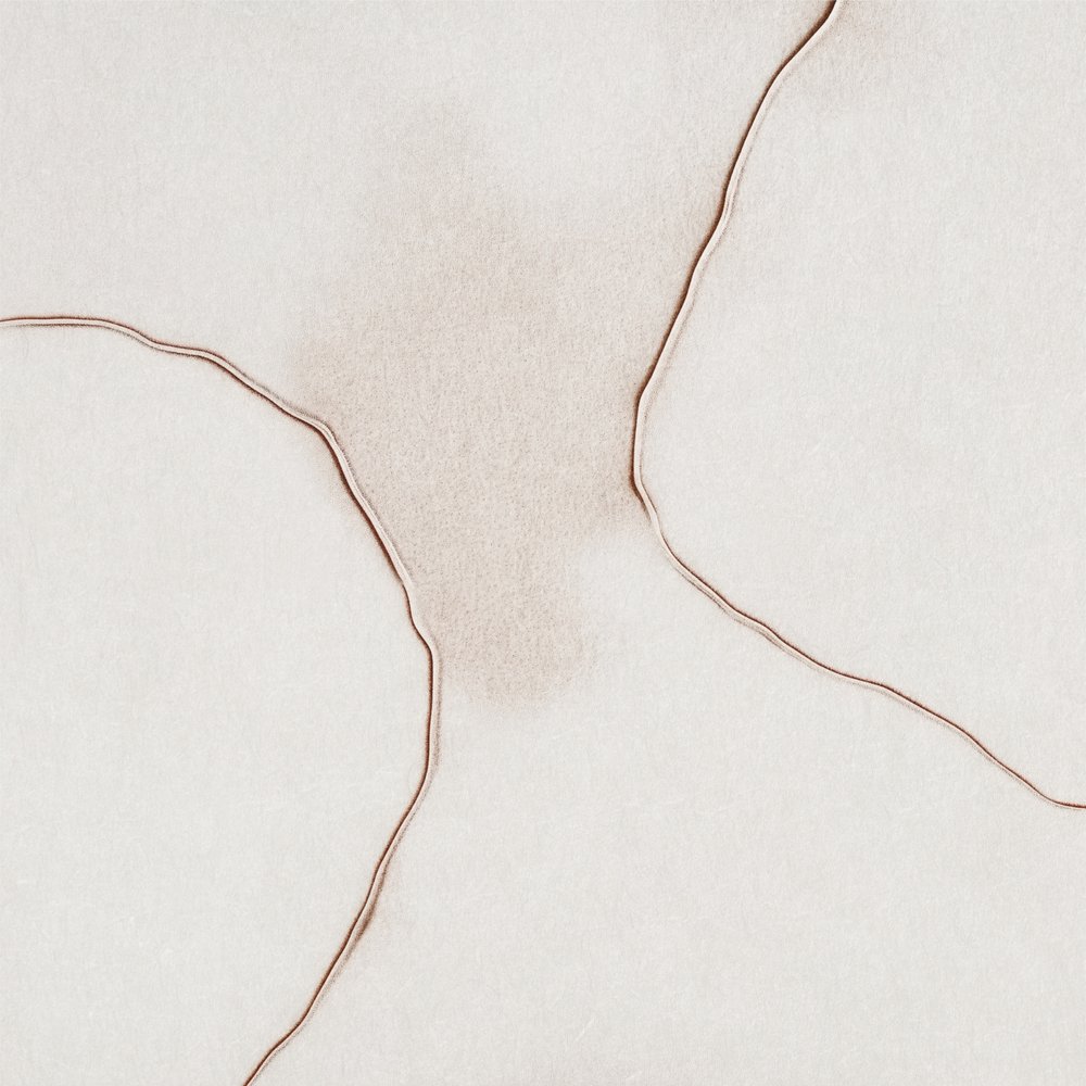 Forme morbide e fluide da Alma