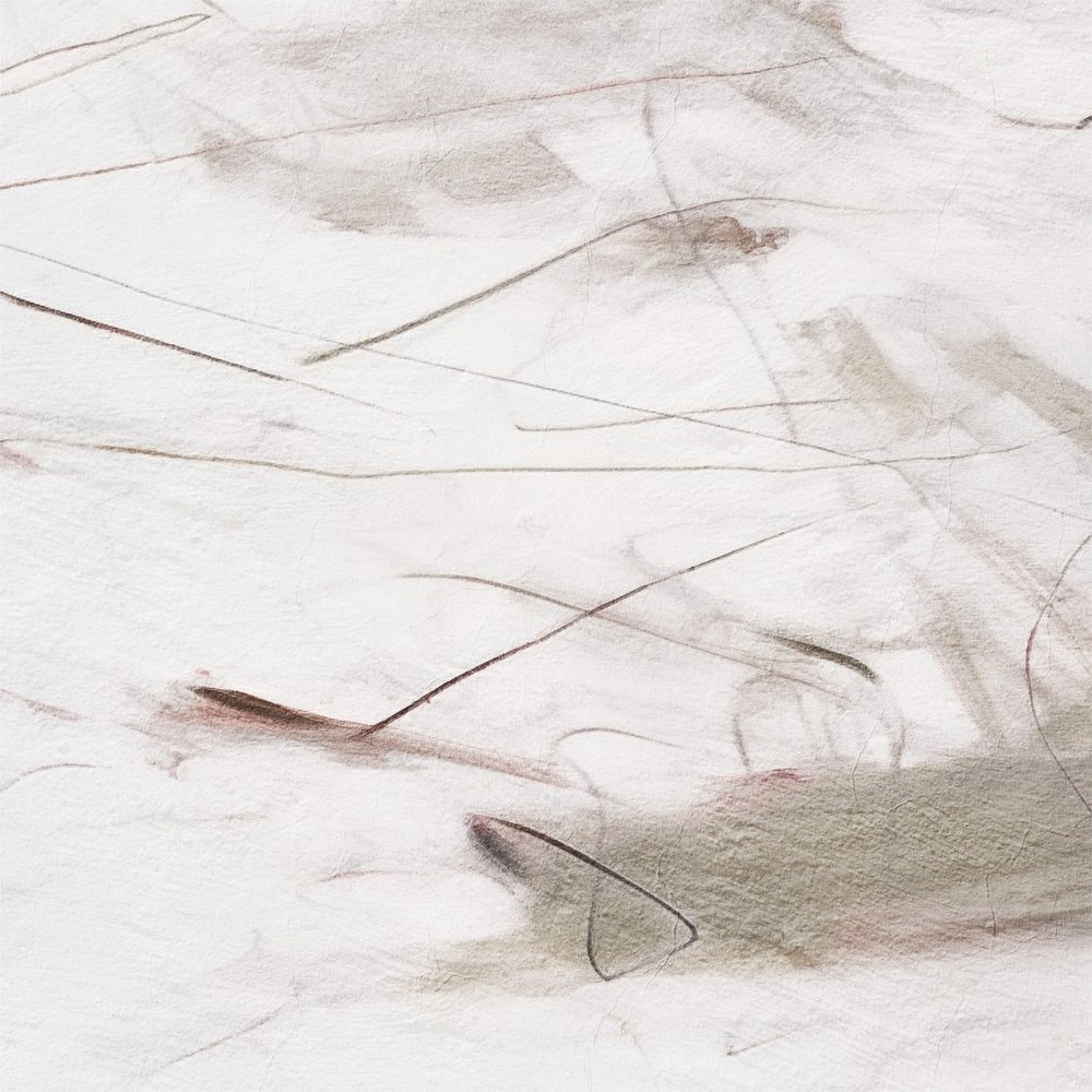 Linee morbide e sinuose da Alma