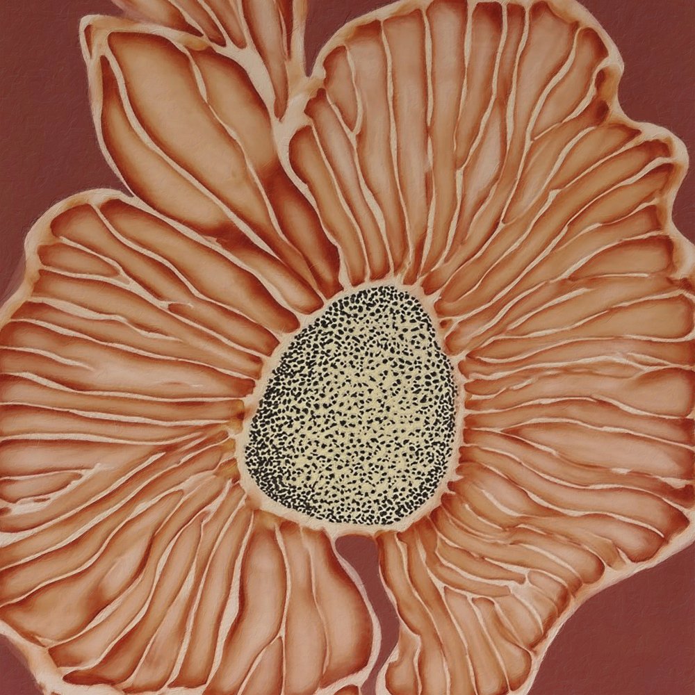 Calda fioritura botanica da Alma