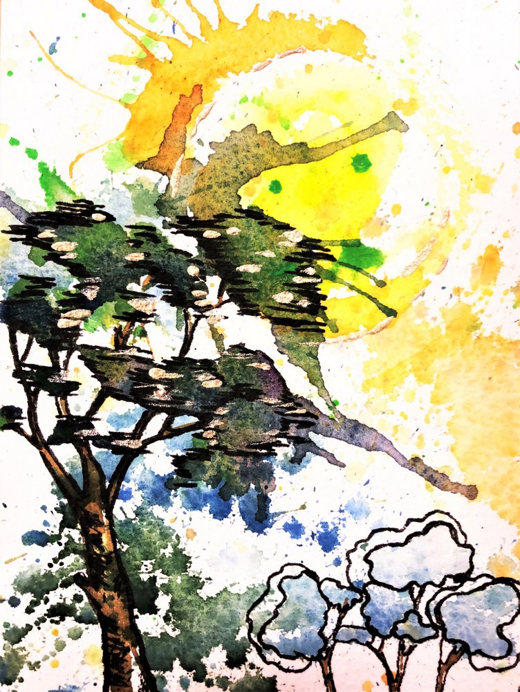 Alberi illuminati dal sole (astratto) da Anda Bieza