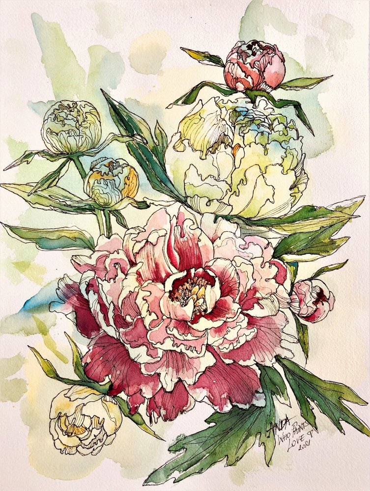 Giardino di peonie in fiore da Anda Bieza