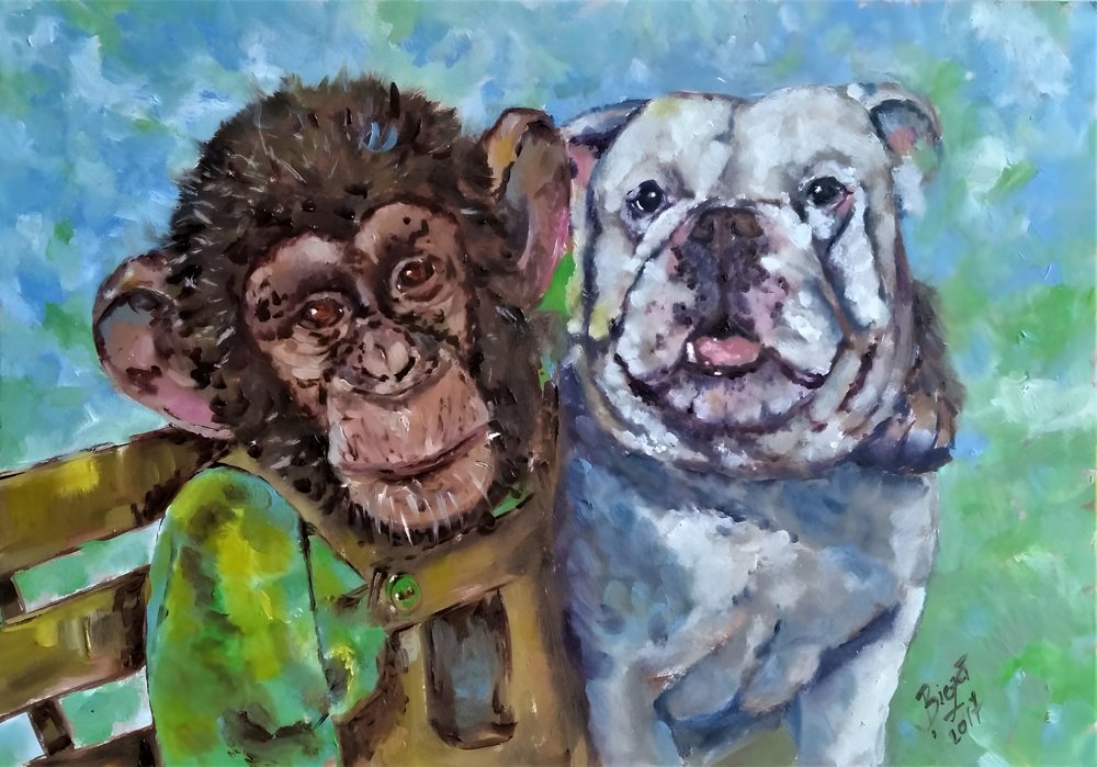 Amici scimpanzé e bulldog da Anda Bieza