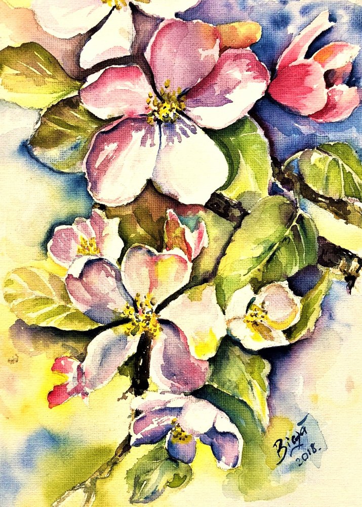 Fiori di melo in primavera da Anda Bieza