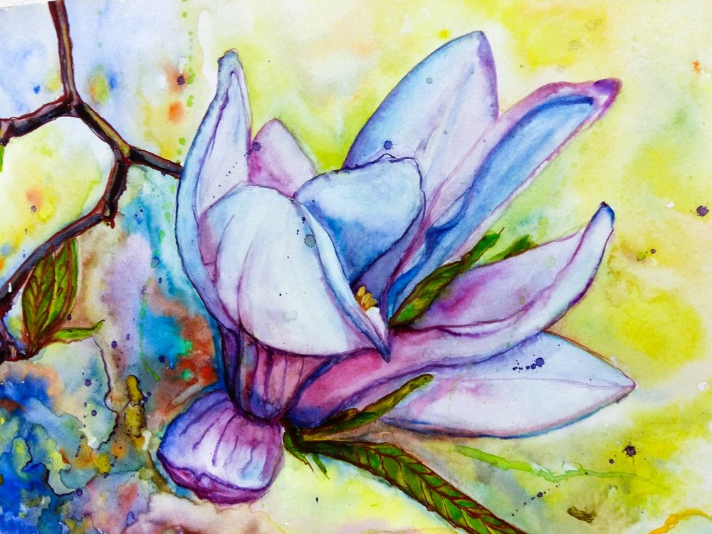 Una magnolia in piena fioritura da Anda Bieza