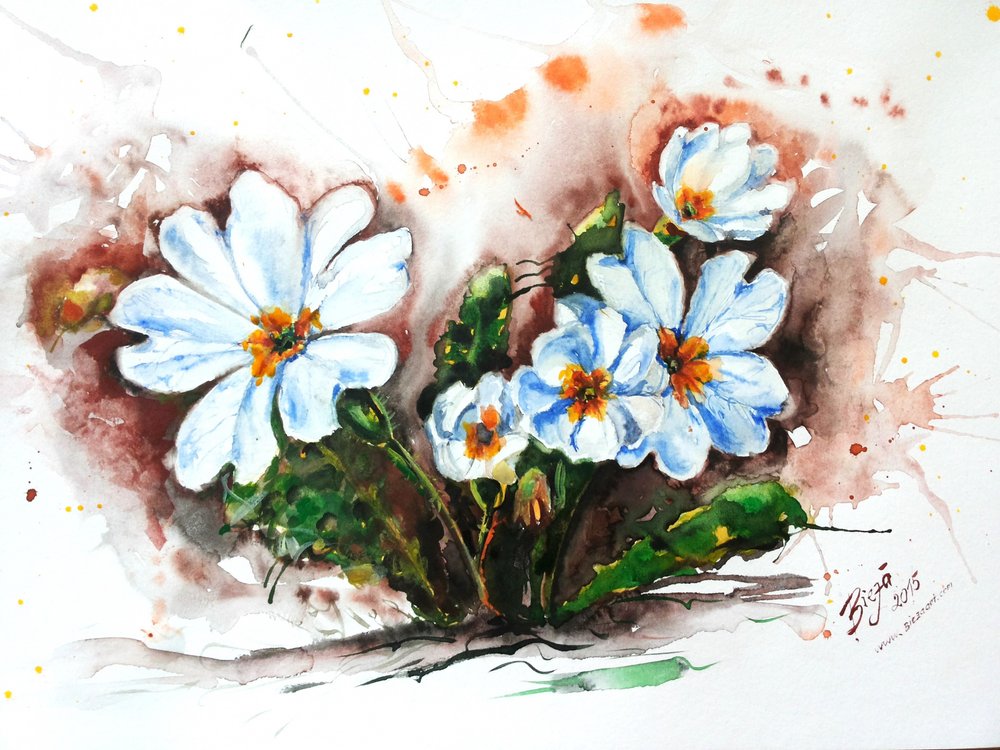 Fiori vivaci ad acquerello da Anda Bieza