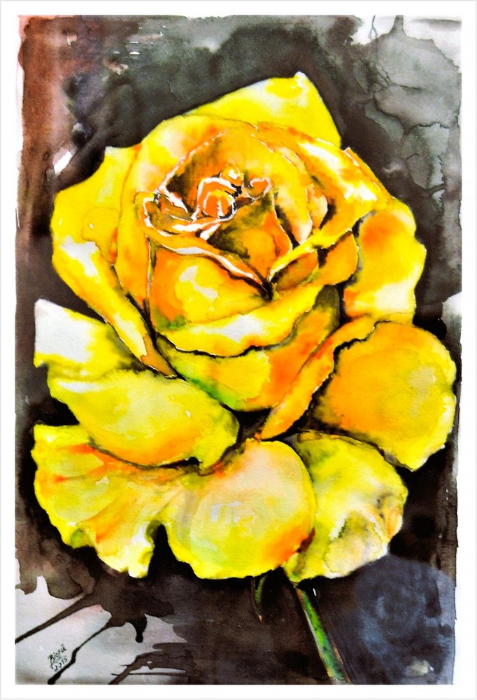Rosa giallo brillante da Anda Bieza