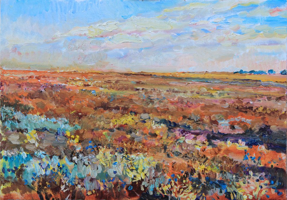 Orizzonte di un campo colorato da Andrii Kutsachenko