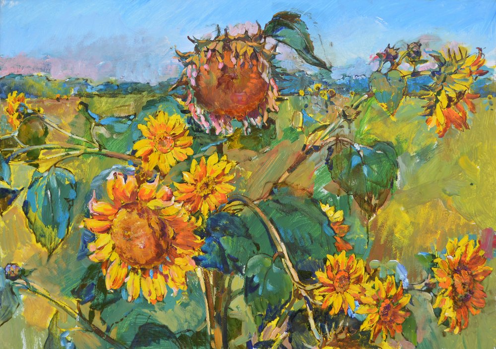 Campo di girasoli dorati da Andrii Kutsachenko