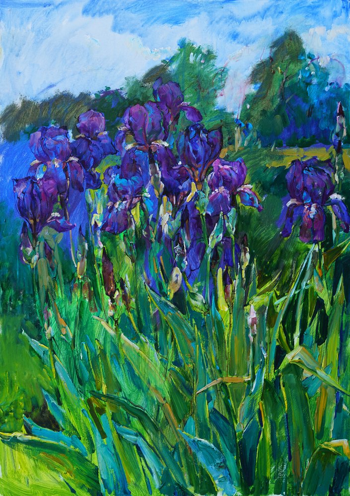 Giardino delle iris viola da Andrii Kutsachenko