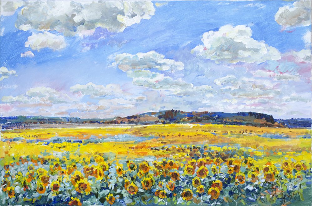 Campo di girasoli illuminato dal sole da Andrii Kutsachenko