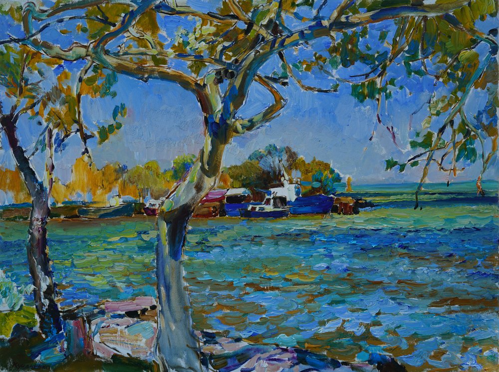 Sunny Riverbank Boats da Andrii Kutsachenko