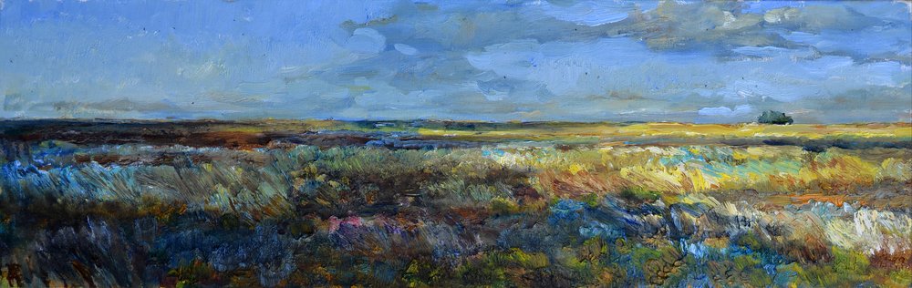Vasto paesaggio della prateria da Andrii Kutsachenko