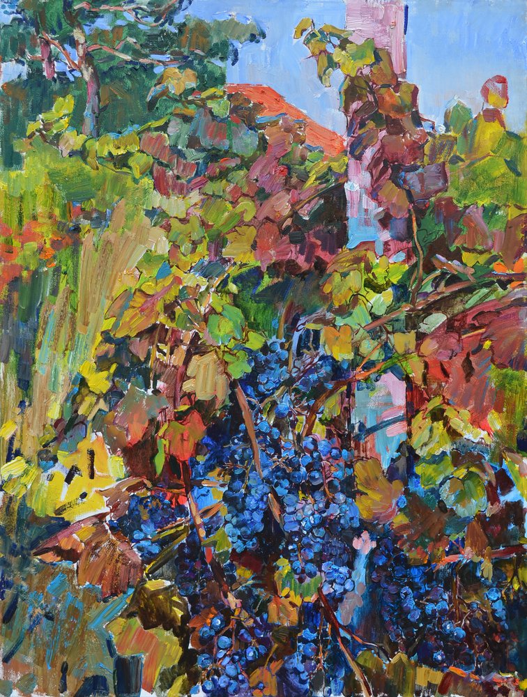 Un vigneto dai colori vivaci in autunno da Andrii Kutsachenko