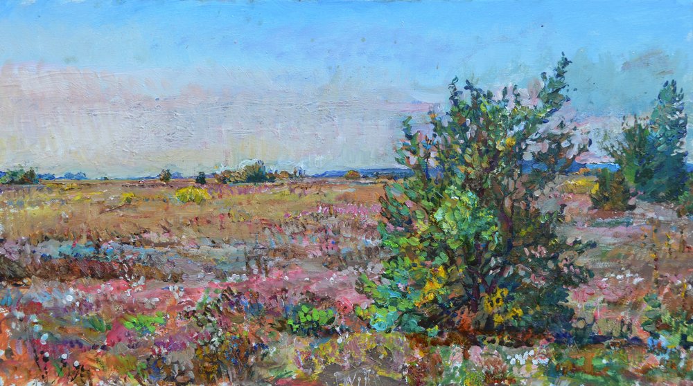 Vivace paesaggio di brughiera da Andrii Kutsachenko
