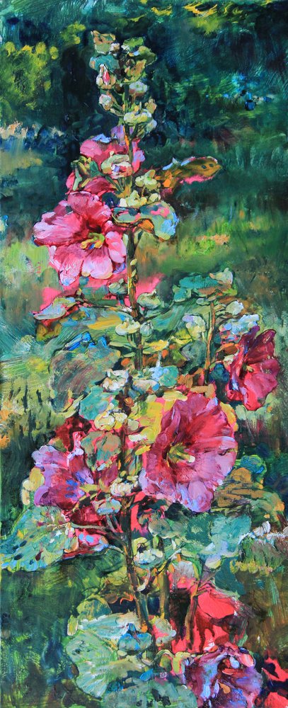 Fioritura vivace della malvarosa da Andrii Kutsachenko