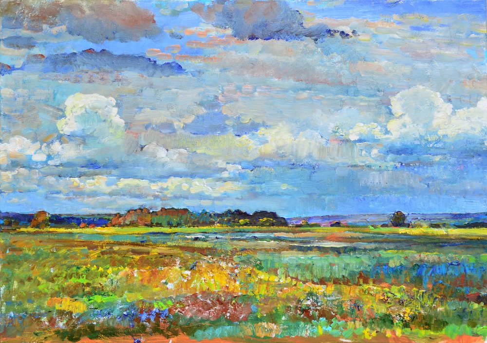 Cielo vivace sopra i campi da Andrii Kutsachenko