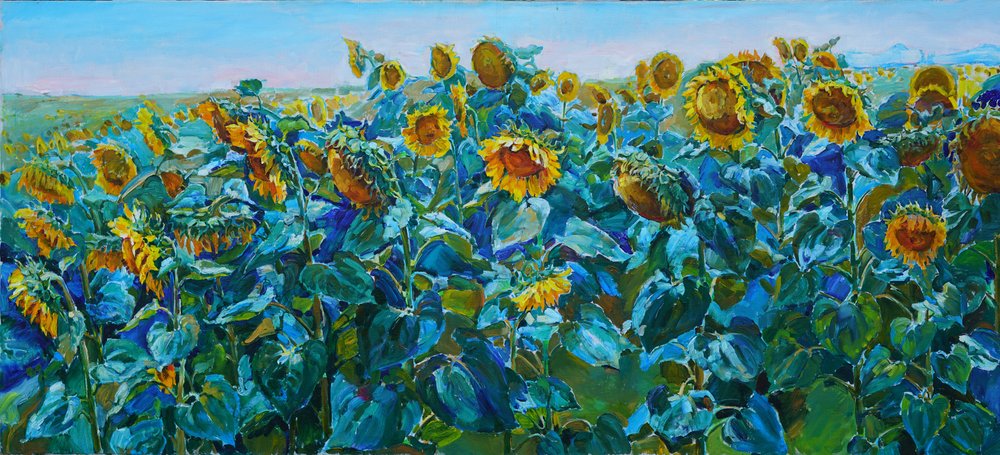 Un campo di girasoli dai colori vivaci da Andrii Kutsachenko