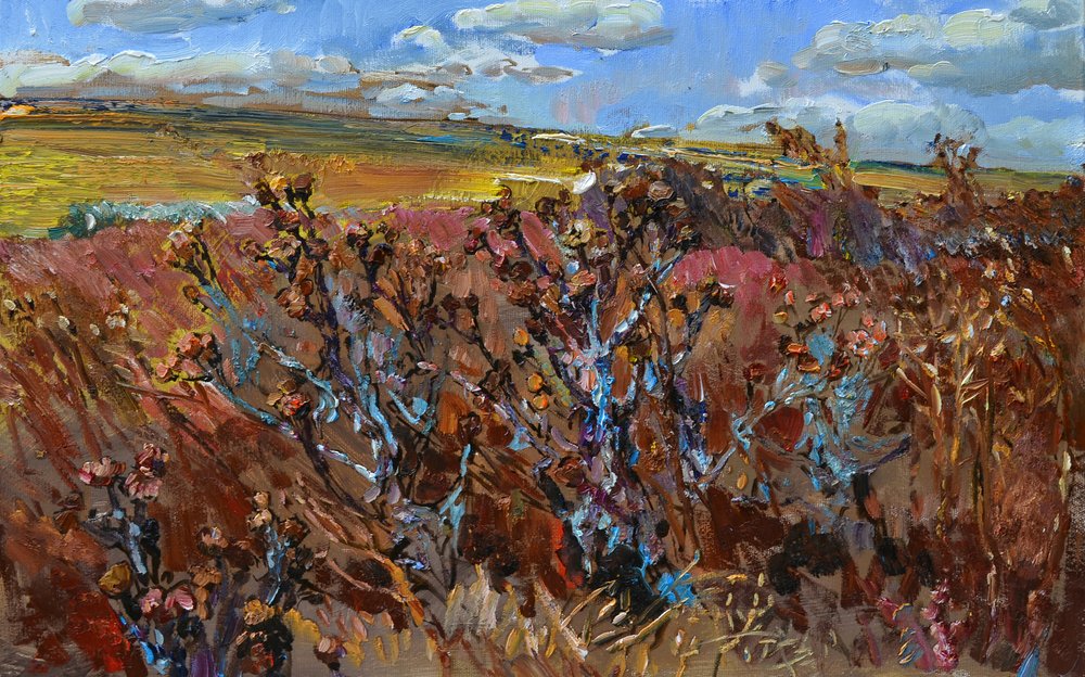 Campo selvaggio d