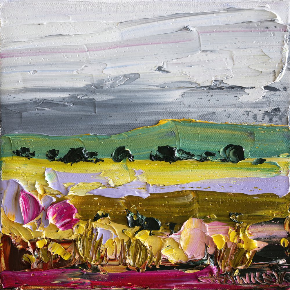 Campi di campagna dai colori vivaci da Angela Hawkey