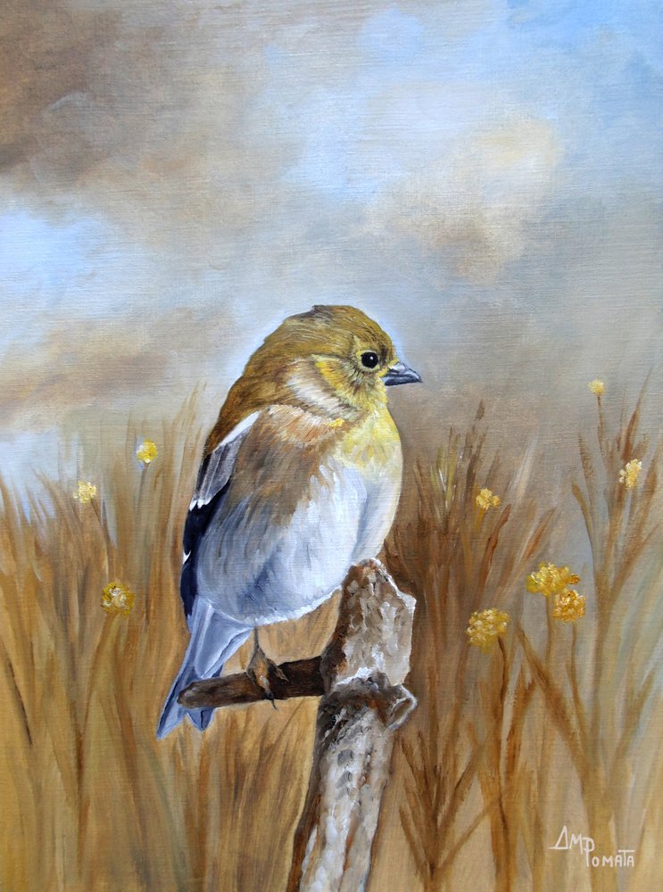 Autumn Finch Perch da Angeles M. Pomata