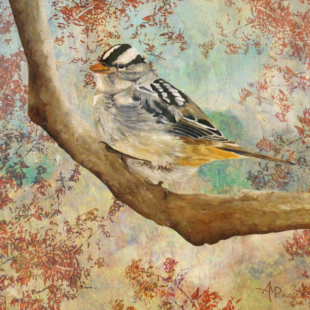  da Angeles M. Pomata
