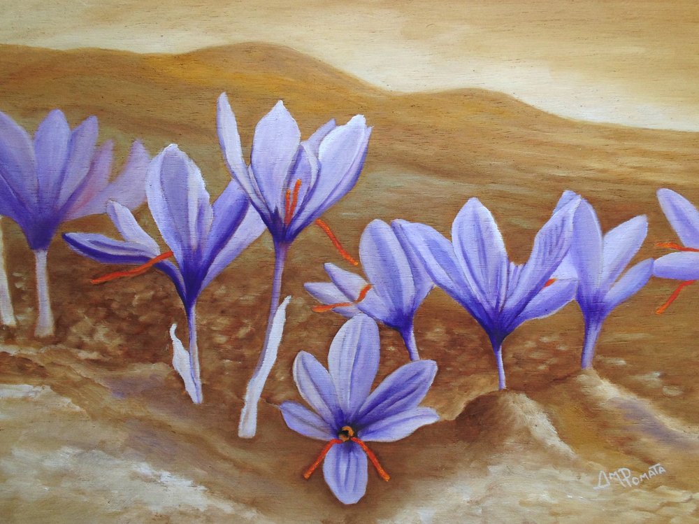  da Angeles M. Pomata