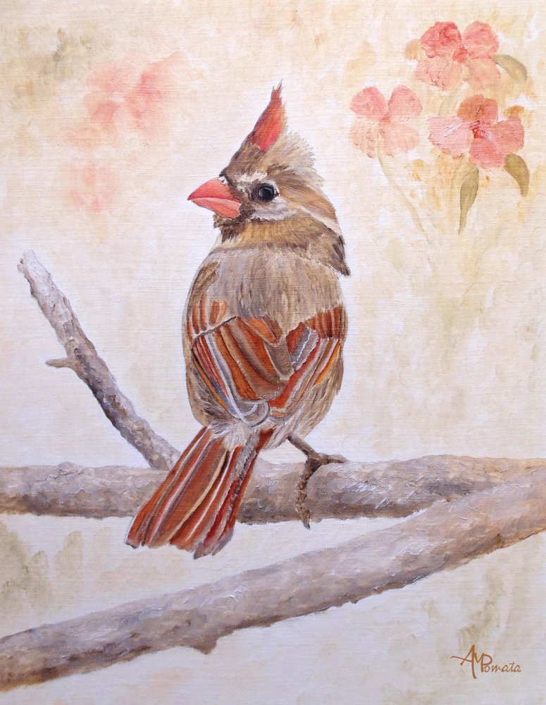  da Angeles M. Pomata