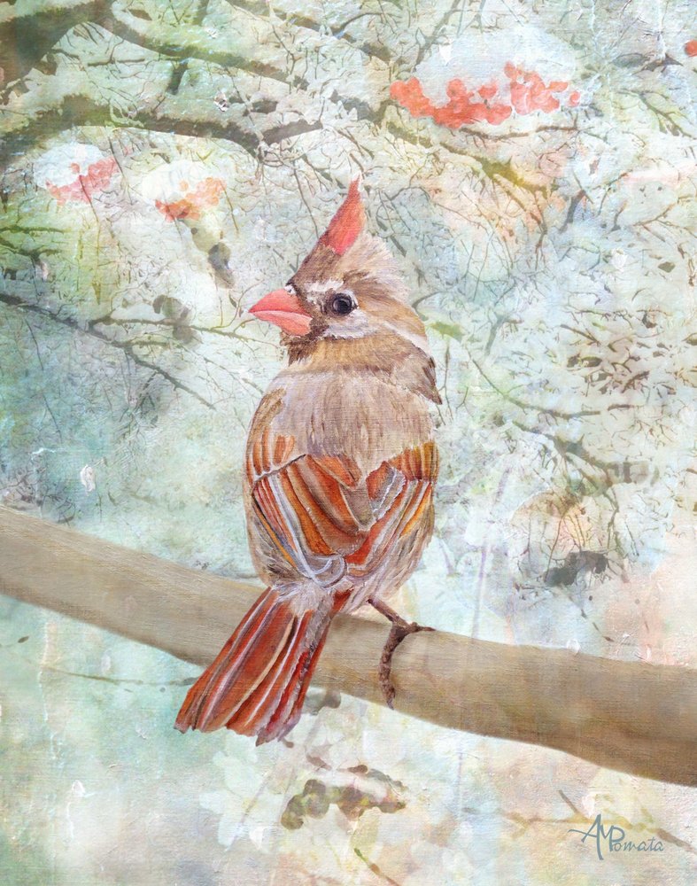  da Angeles M. Pomata