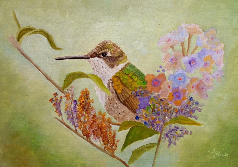 Giardino colorato dei colibrì da Angeles M. Pomata