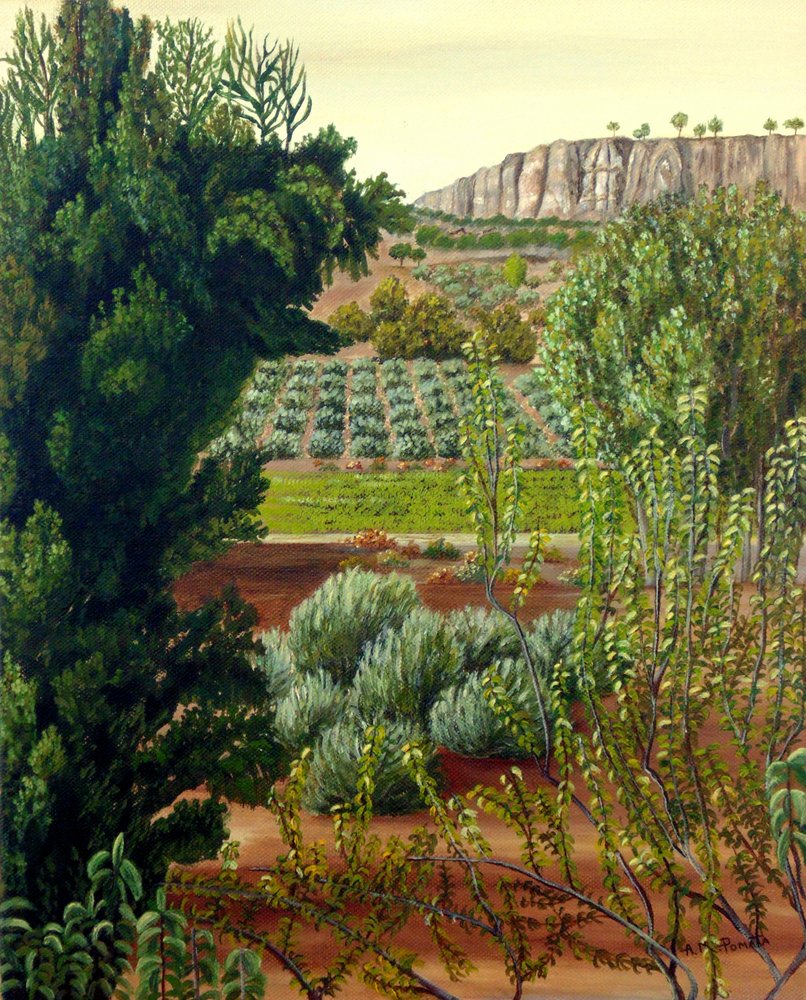  da Angeles M. Pomata