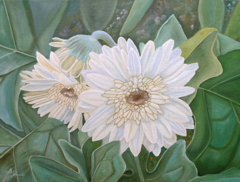  da Angeles M. Pomata