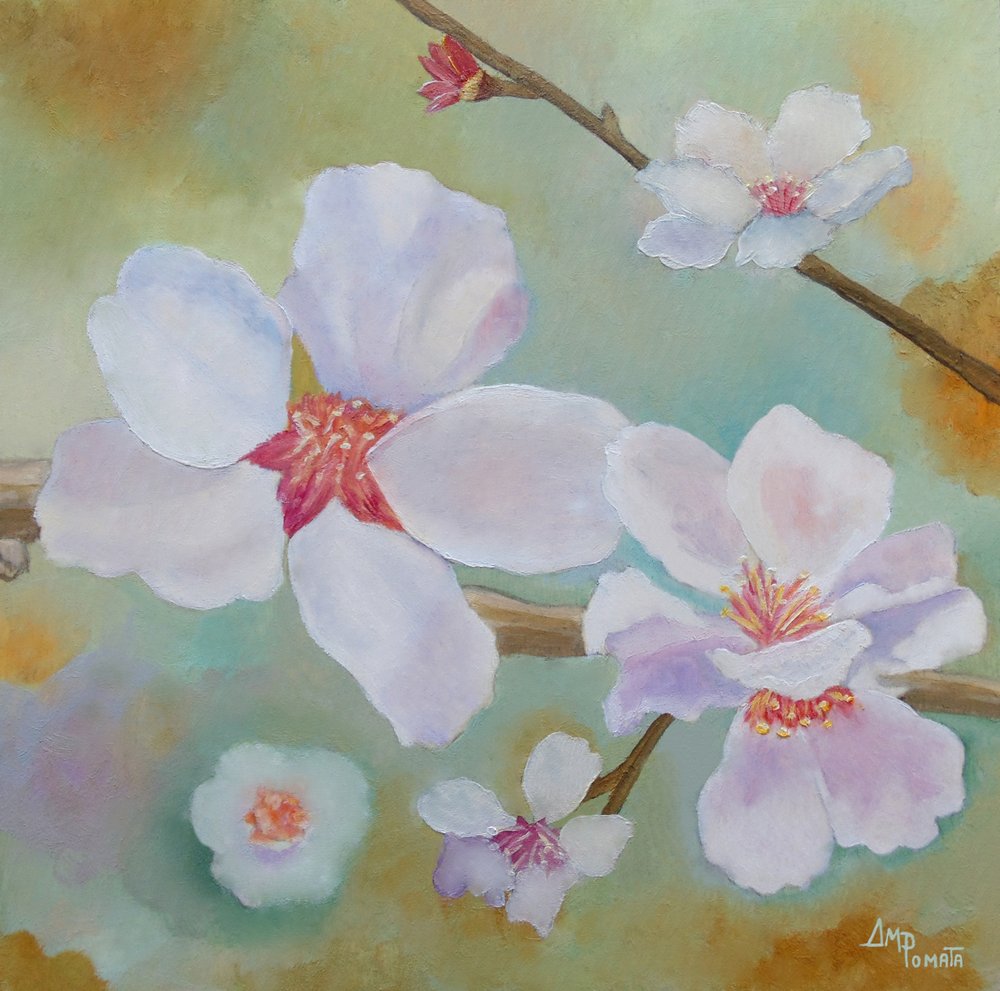 Delicati fiori primaverili da Angeles M. Pomata