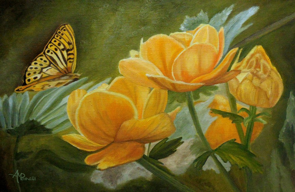  da Angeles M. Pomata