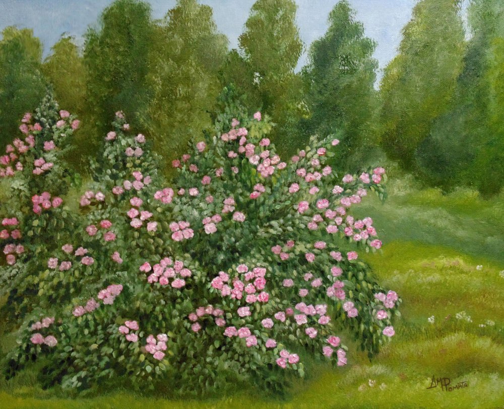 Il tranquillo giardino delle rose da Angeles M. Pomata