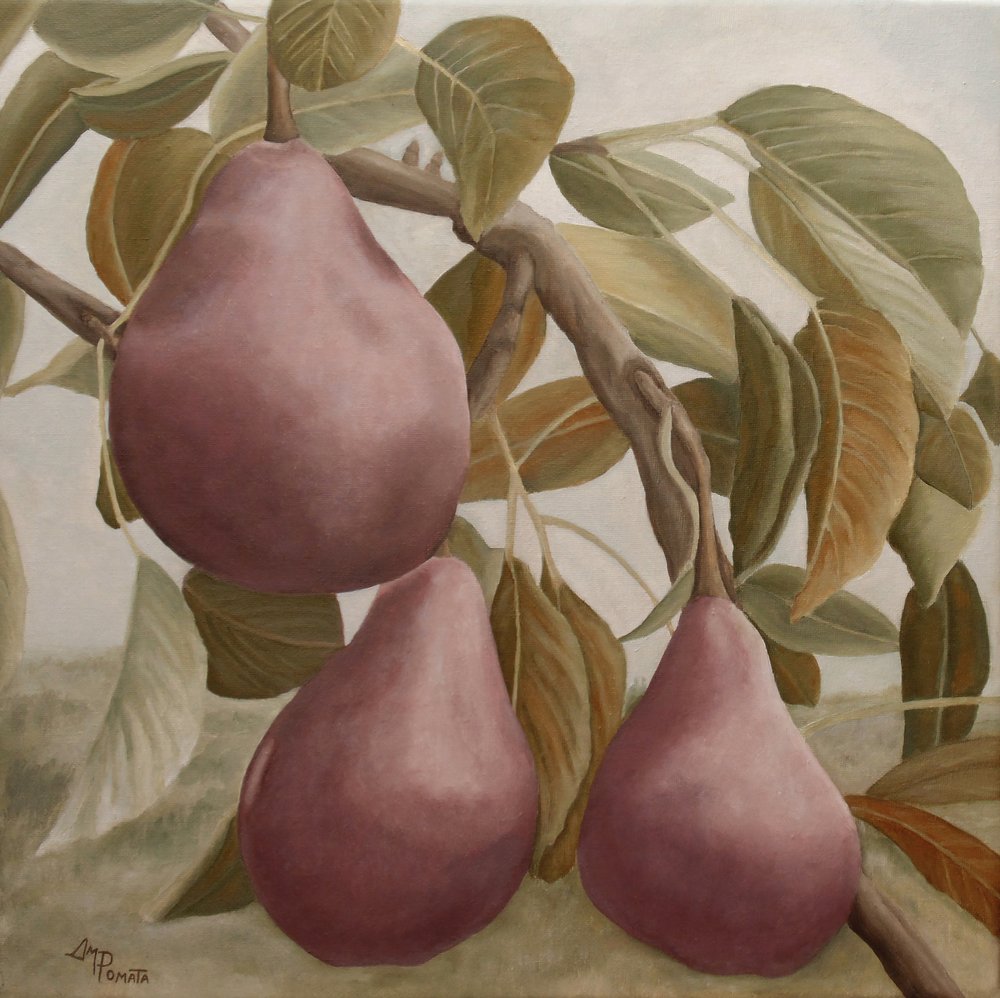  da Angeles M. Pomata