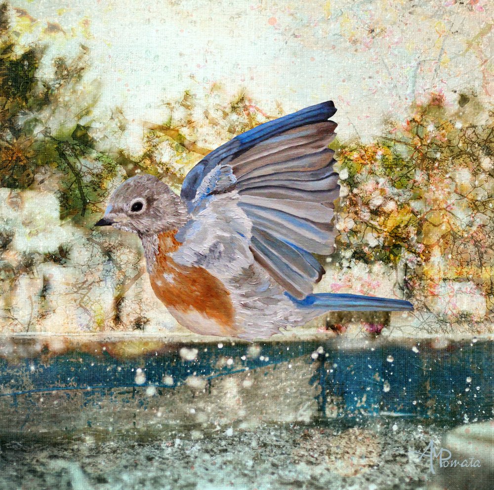  da Angeles M. Pomata