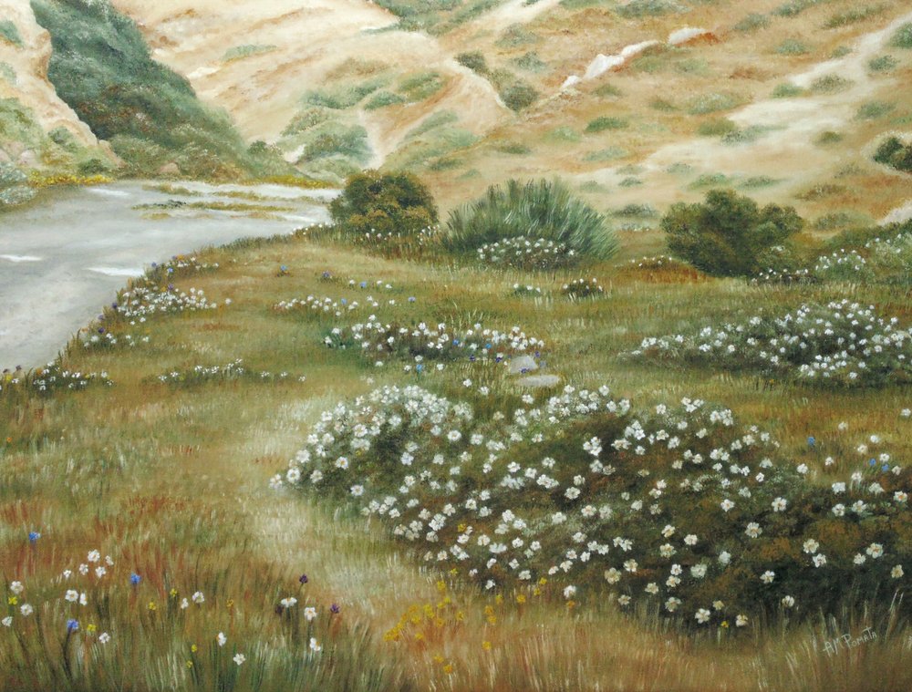 Fiori selvatici di River Bend da Angeles M. Pomata