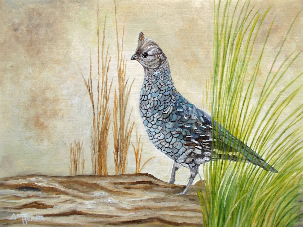 Gallo cedrone su un tronco da Angeles M. Pomata