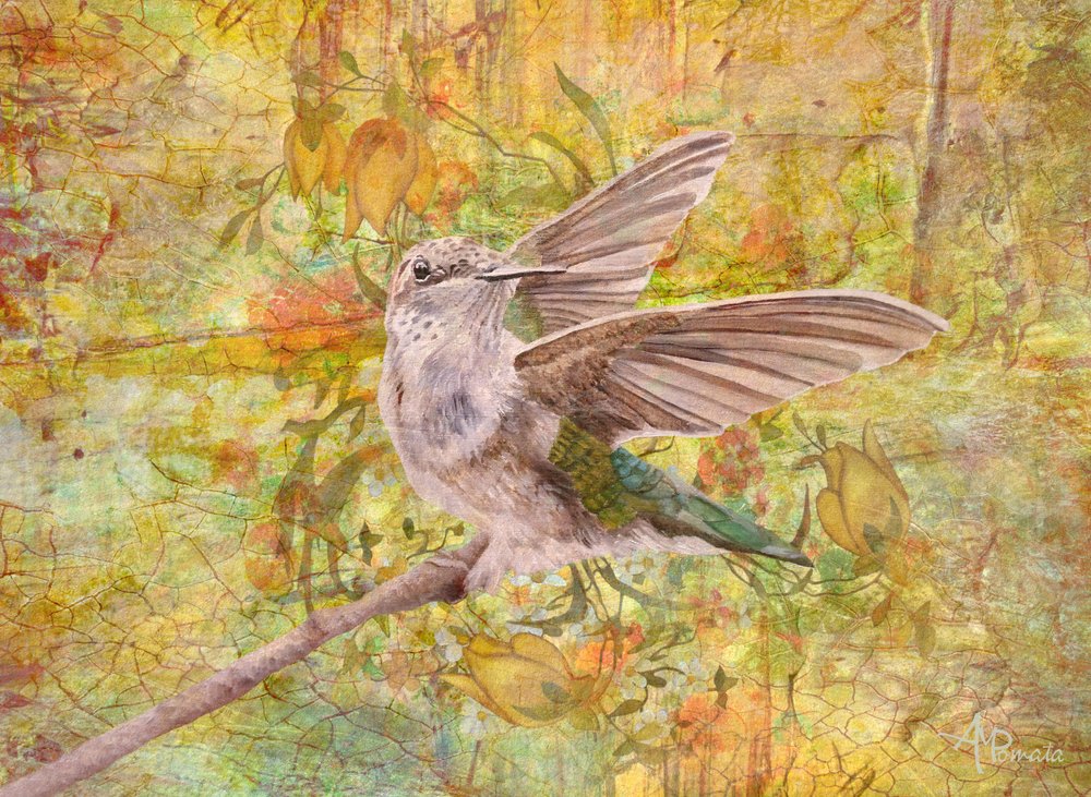  da Angeles M. Pomata