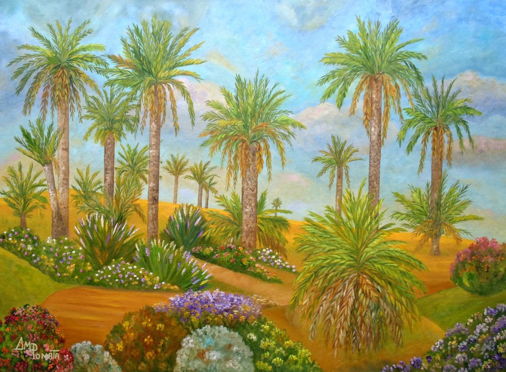 Una vivace oasi nel deserto da Angeles M. Pomata