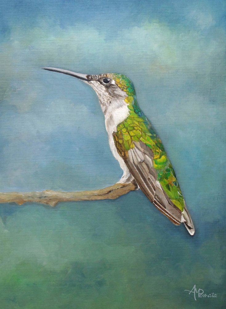 Posa vivace per colibrì da Angeles M. Pomata