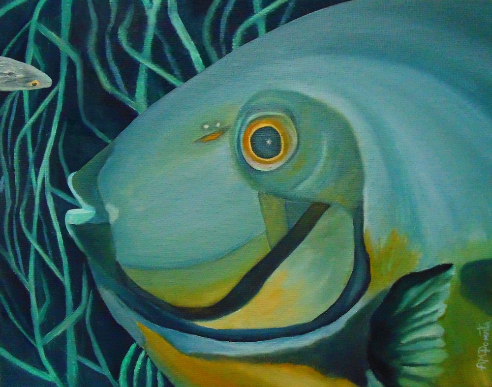  da Angeles M. Pomata