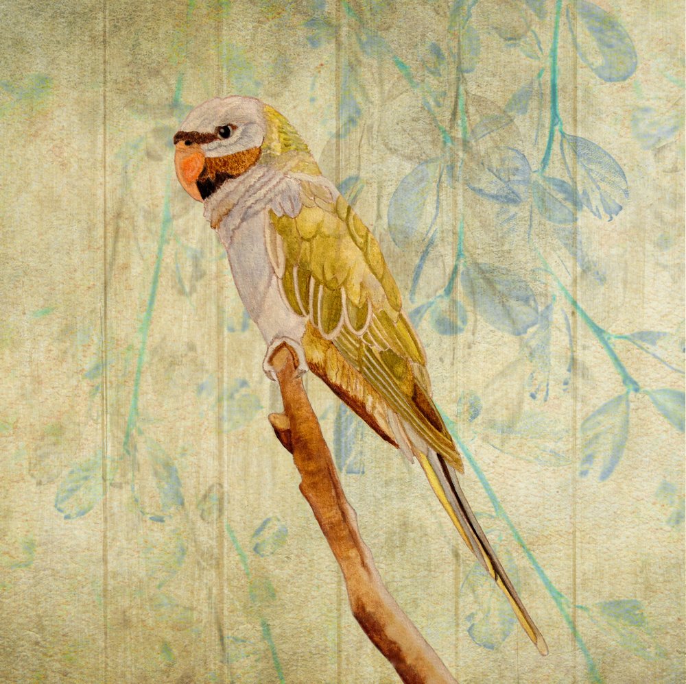  da Angeles M. Pomata