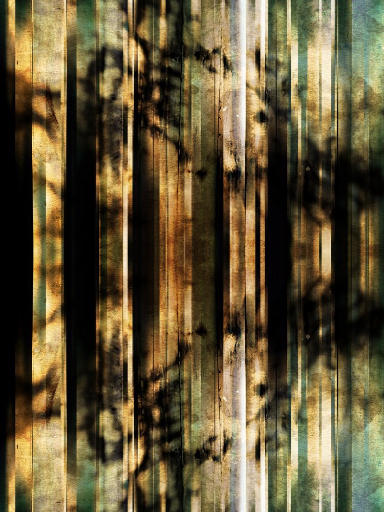 Ombre della foresta (astratto) da Angelo Cerantola