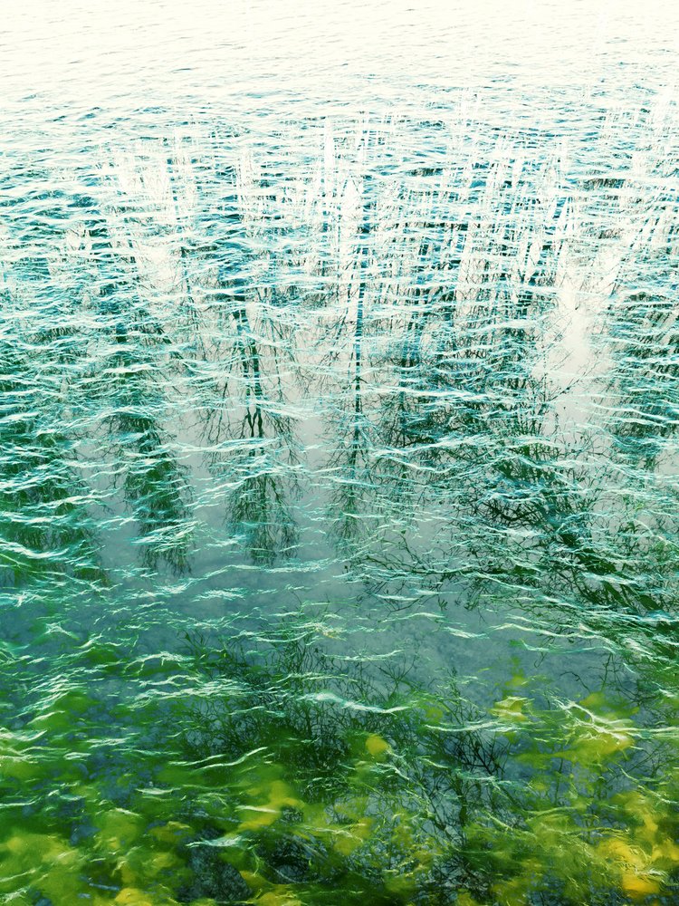 Riflessi sull