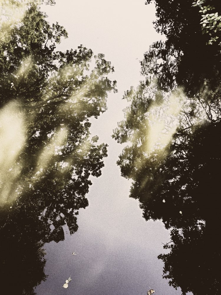 Il cielo specchiato della natura da Angelo Cerantola