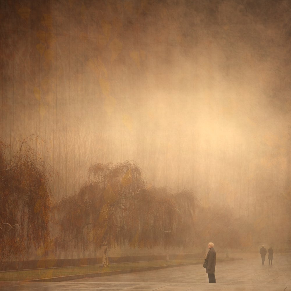 Una passeggiata autunnale da sogno da Anja Buehrer